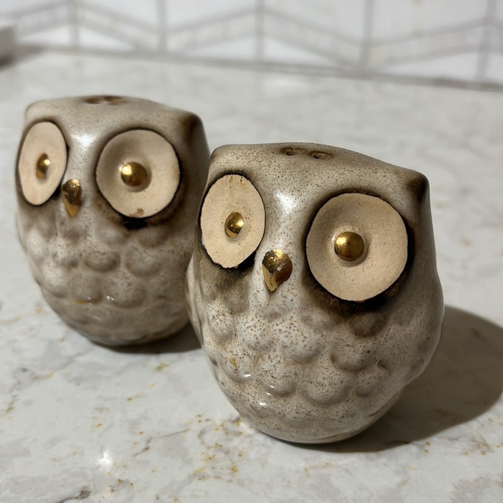 Owl salt & pepper shakers